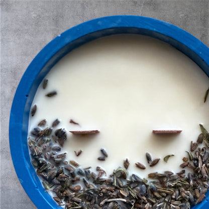 600Hz - PAZ - lavanda